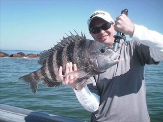 Click to Enlarge Photo