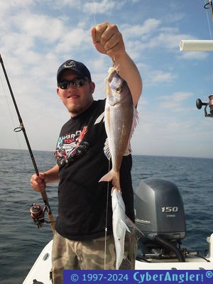 Click to Enlarge Photo