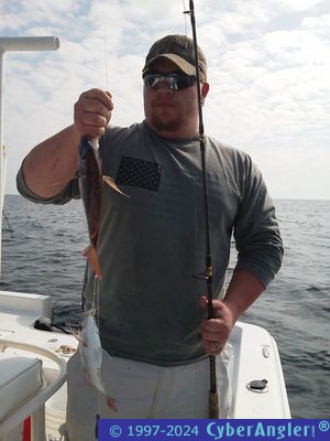 Click to Enlarge Photo