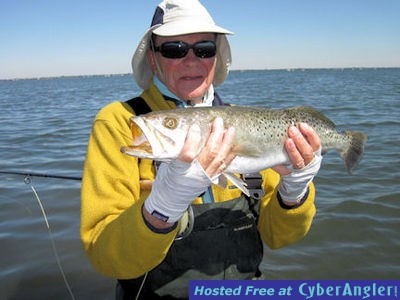 Click to Enlarge Photo