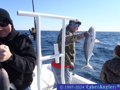 Click to Enlarge Photo