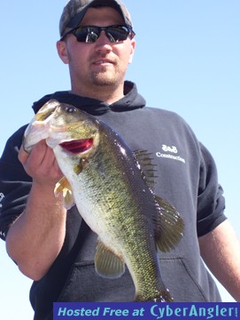 Click to Enlarge Photo