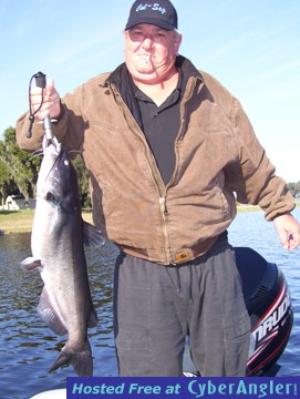 Click to Enlarge Photo