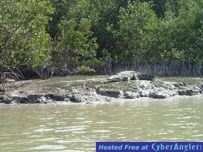 Click to Enlarge Photo