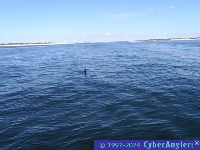 Click to Enlarge Photo