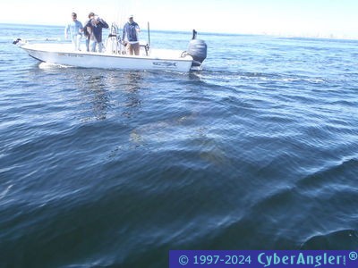 Click to Enlarge Photo