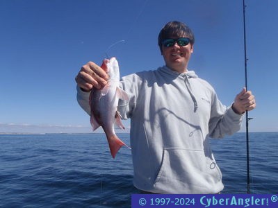 Click to Enlarge Photo