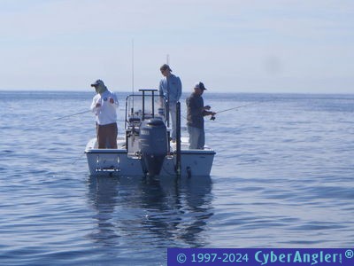 Click to Enlarge Photo