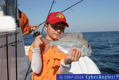 Click to Enlarge Photo