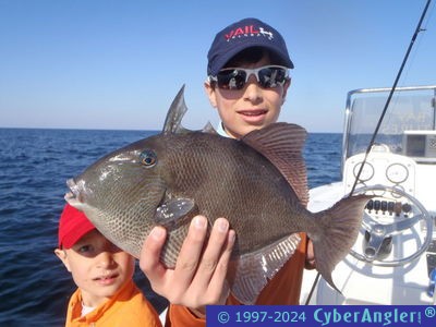 Click to Enlarge Photo