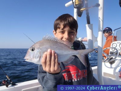 Click to Enlarge Photo