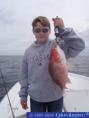 Click to Enlarge Photo