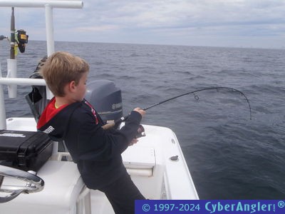 Click to Enlarge Photo