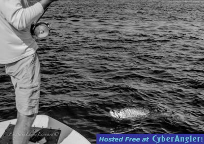 Click to Enlarge Photo