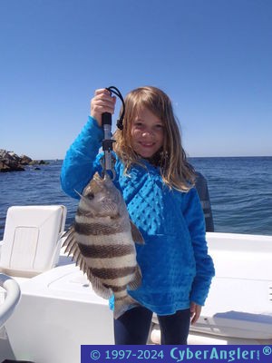 Click to Enlarge Photo