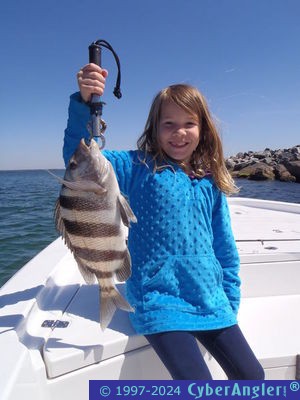 Click to Enlarge Photo