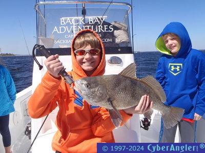 Click to Enlarge Photo