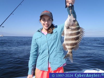 Click to Enlarge Photo