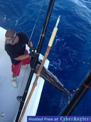 Click to Enlarge Photo