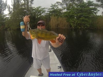 Click to Enlarge Photo