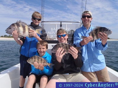 Click to Enlarge Photo