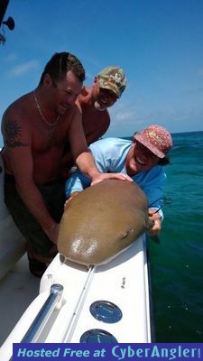 Click to Enlarge Photo