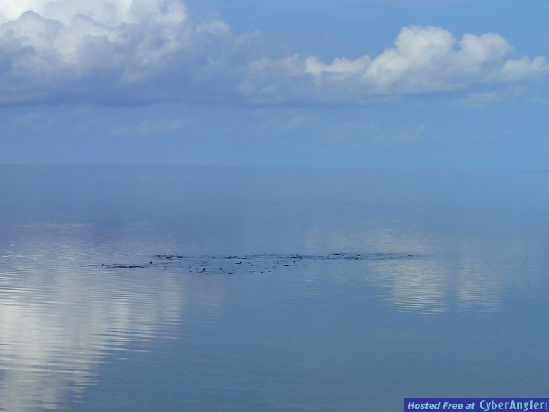 Click to Enlarge Photo
