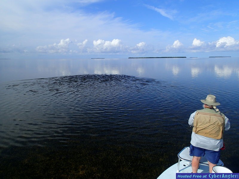 Click to Enlarge Photo