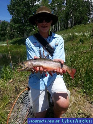 Click to Enlarge Photo