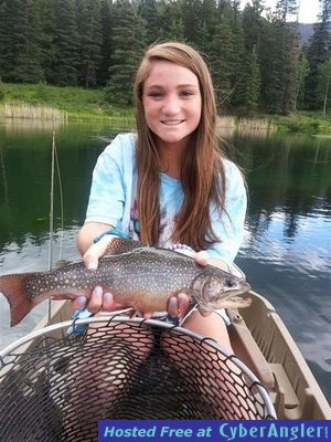 Click to Enlarge Photo