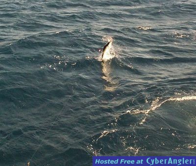 Click to Enlarge Photo