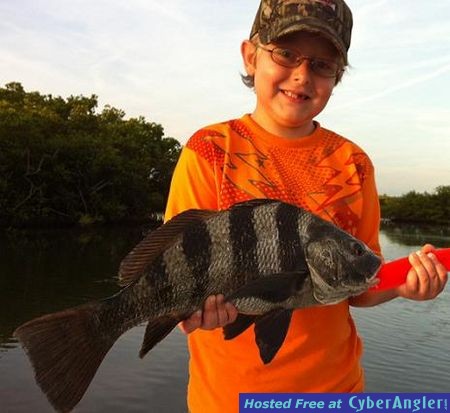 Click to Enlarge Photo