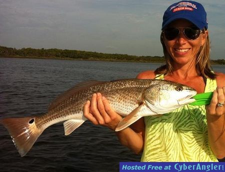 Click to Enlarge Photo