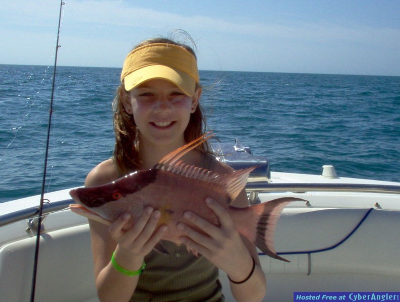 Click to Enlarge Photo