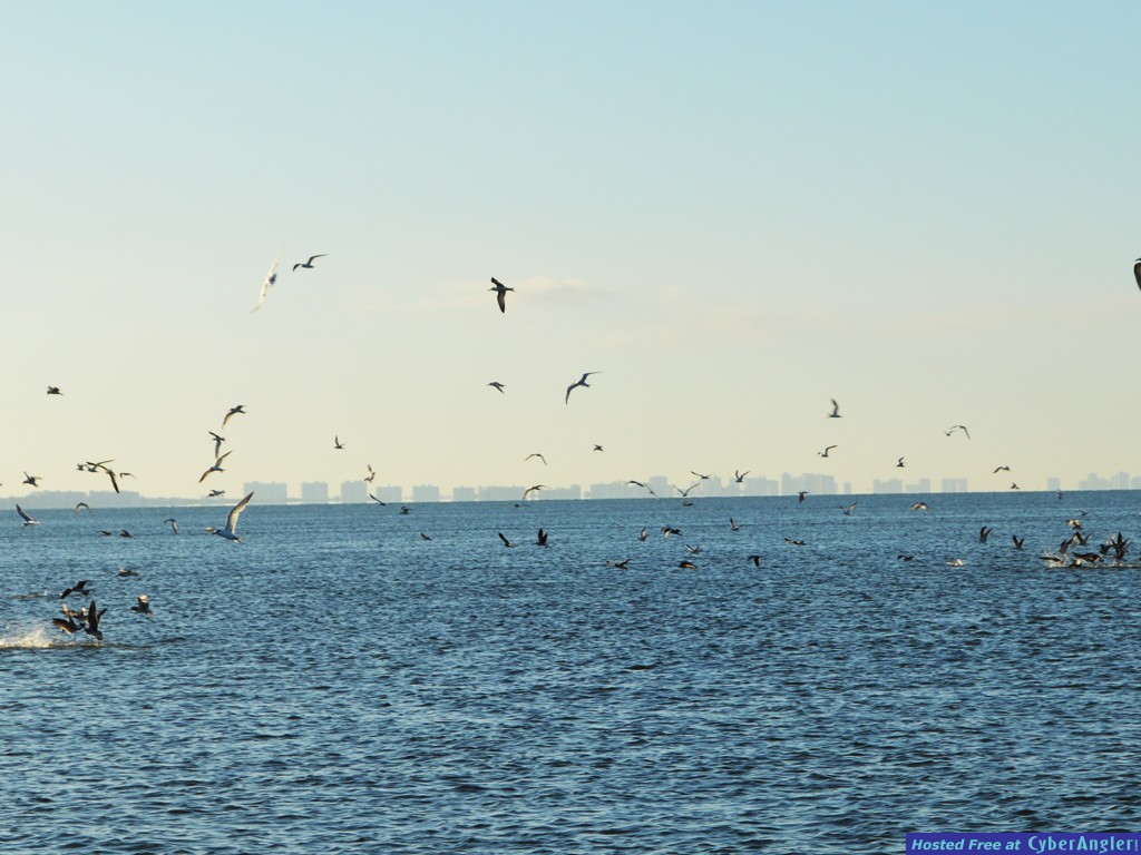 Click to Enlarge Photo