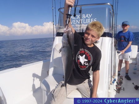 Click to Enlarge Photo