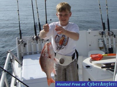 Click to Enlarge Photo