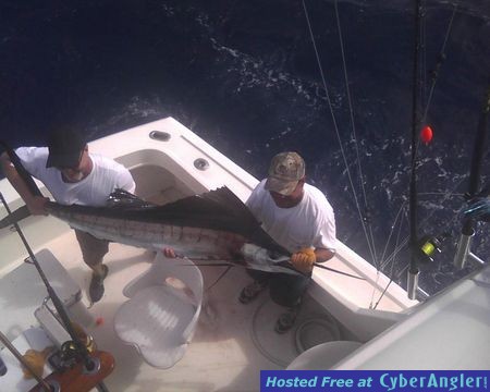 Click to Enlarge Photo