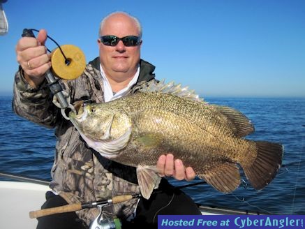 Click to Enlarge Photo