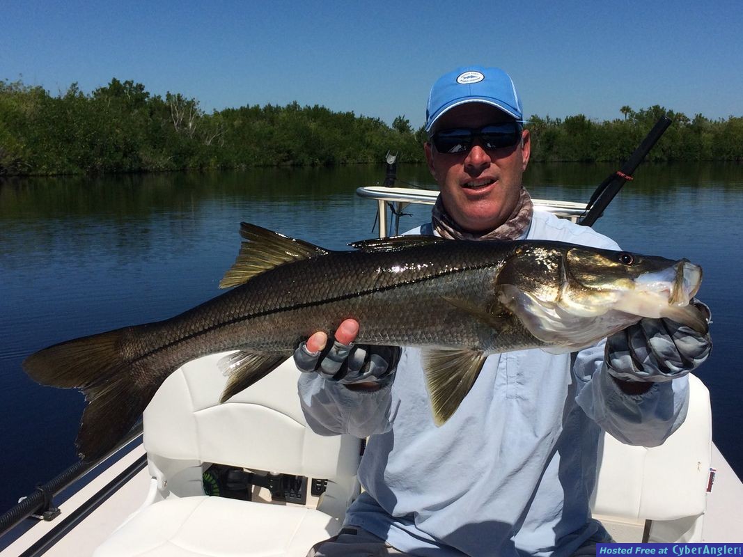 Click to Enlarge Photo