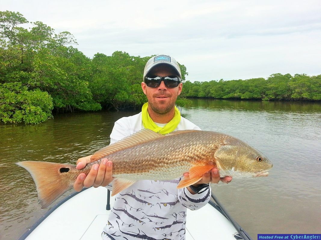 Click to Enlarge Photo