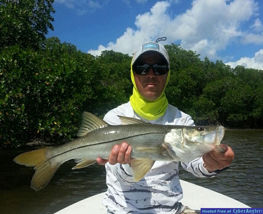 Click to Enlarge Photo