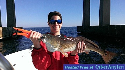 Click to Enlarge Photo