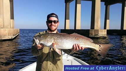 Click to Enlarge Photo