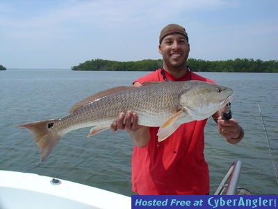 Click to Enlarge Photo