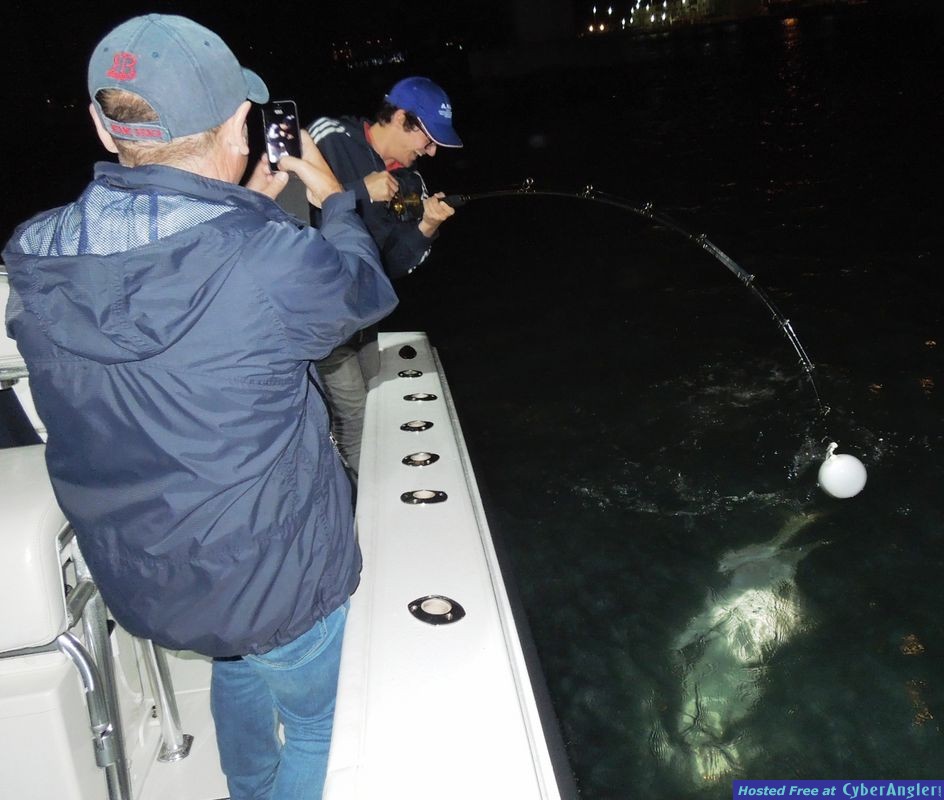 Click to Enlarge Photo