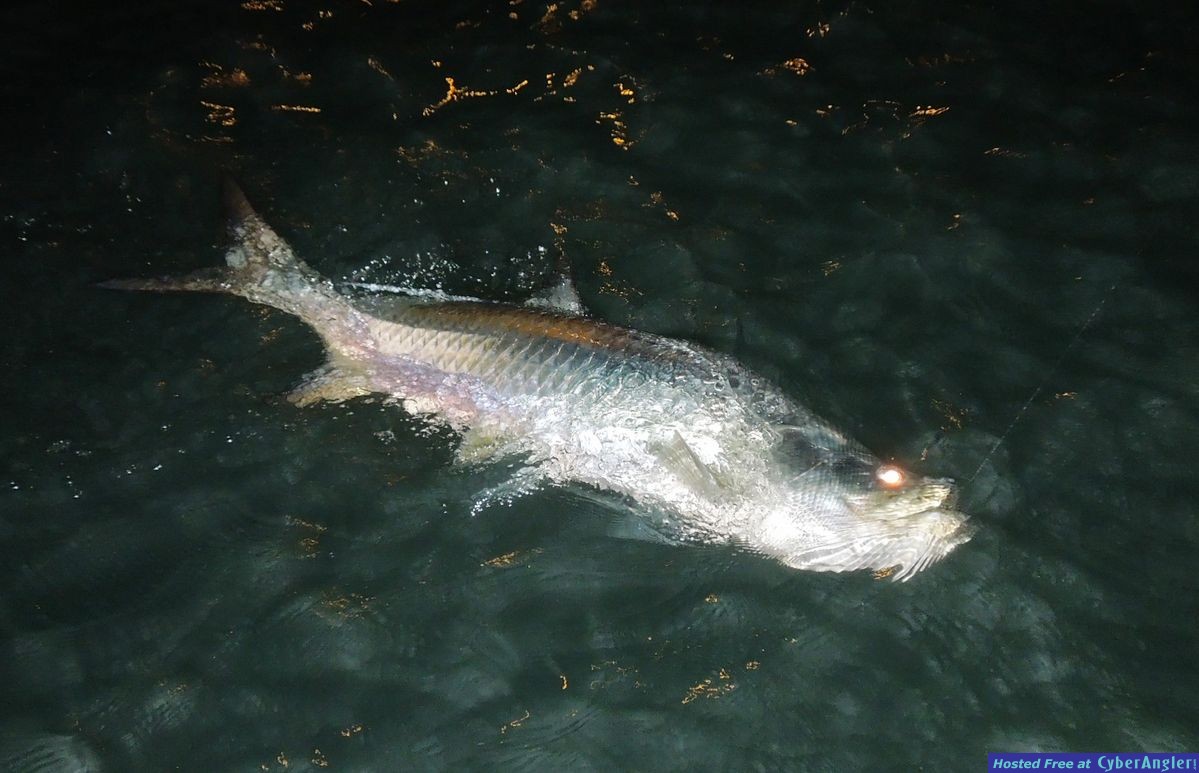 Click to Enlarge Photo