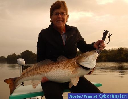 Click to Enlarge Photo