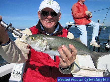 Click to Enlarge Photo