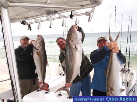 Click to Enlarge Photo